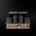 Fiddler AV2030 Hybrid tube amplifier (Optical/ Coaxial/Bluetooth 5.0/ USB/) - Fiddler