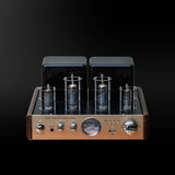 Fiddler AV2030 Hybrid tube amplifier (Optical/ Coaxial/Bluetooth 5.0/ USB/) - Fiddler