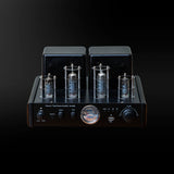 Fiddler AV2030 Hybrid tube amplifier (Optical/ Coaxial/Bluetooth 5.0/ USB/) - Fiddler